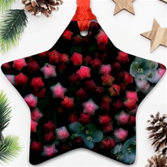 Floral Stars -bright Star Ornament (two Sides) by okhismakingart