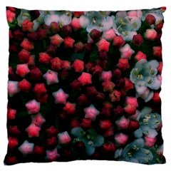 Floral Stars -bright Standard Flano Cushion Case (two Sides) by okhismakingart