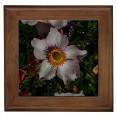 Light Purple Blossoms Framed Tiles by okhismakingart