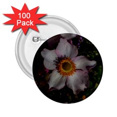 Light Purple Blossoms 2 25  Buttons (100 Pack)  by okhismakingart