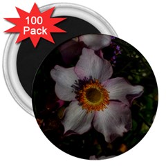 Light Purple Blossoms 3  Magnets (100 Pack) by okhismakingart