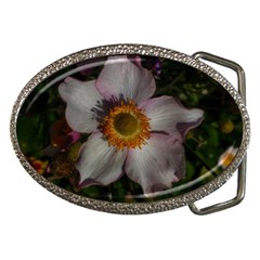 Light Purple Blossoms Belt Buckles by okhismakingart