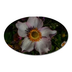 Light Purple Blossoms Oval Magnet by okhismakingart