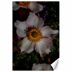 Light Purple Blossoms Canvas 20  X 30  by okhismakingart