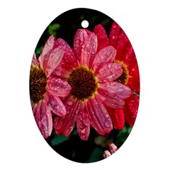 Three Dripping Flowers Ornament (Oval)