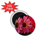 Three Dripping Flowers 1.75  Magnets (100 pack)  Front