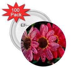 Three Dripping Flowers 2.25  Buttons (100 pack) 