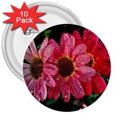 Three Dripping Flowers 3  Buttons (10 pack) 