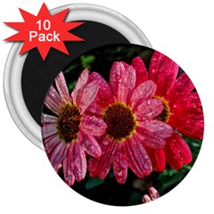 Three Dripping Flowers 3  Magnets (10 pack) 