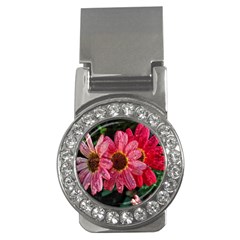 Three Dripping Flowers Money Clips (CZ) 