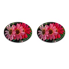 Three Dripping Flowers Cufflinks (Oval)