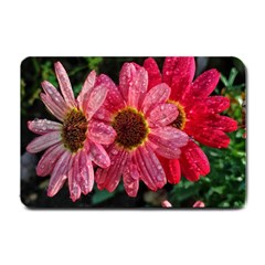 Three Dripping Flowers Small Doormat 