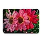 Three Dripping Flowers Plate Mats 18 x12  Plate Mat