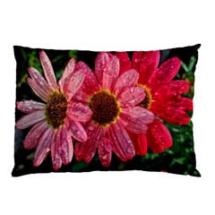 Three Dripping Flowers Pillow Case