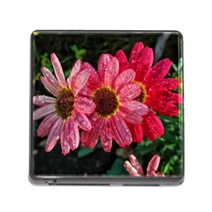 Three Dripping Flowers Memory Card Reader (Square 5 Slot)