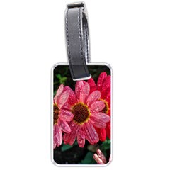 Three Dripping Flowers Luggage Tags (One Side) 