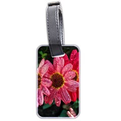 Three Dripping Flowers Luggage Tags (Two Sides)