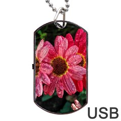 Three Dripping Flowers Dog Tag USB Flash (Two Sides)