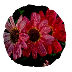 Three Dripping Flowers Large 18  Premium Round Cushions