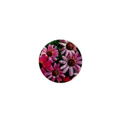 Pink Asters 1  Mini Buttons by okhismakingart