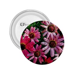 Pink Asters 2 25  Buttons by okhismakingart