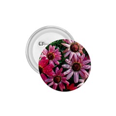 Pink Asters 1 75  Buttons by okhismakingart