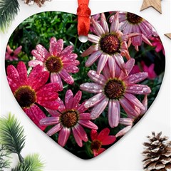 Pink Asters Ornament (heart) by okhismakingart