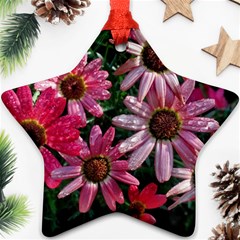 Pink Asters Ornament (star) by okhismakingart