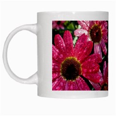 Pink Asters White Mugs by okhismakingart