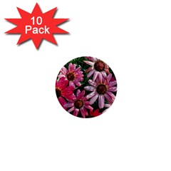 Pink Asters 1  Mini Buttons (10 Pack)  by okhismakingart