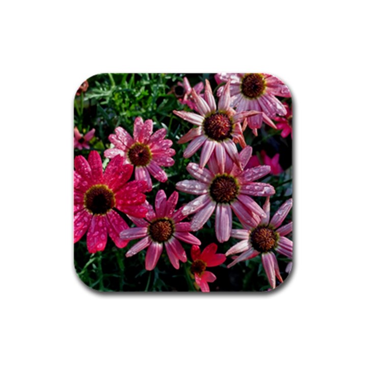 Pink Asters Rubber Square Coaster (4 pack) 