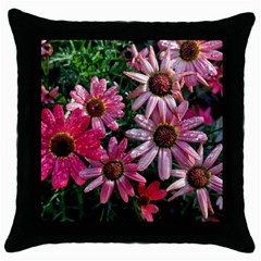 Pink Asters Throw Pillow Case (black) by okhismakingart