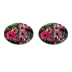 Pink Asters Cufflinks (oval) by okhismakingart