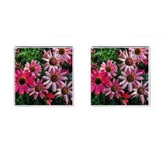 Pink Asters Cufflinks (square) by okhismakingart