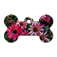 Pink Asters Dog Tag Bone (two Sides) by okhismakingart