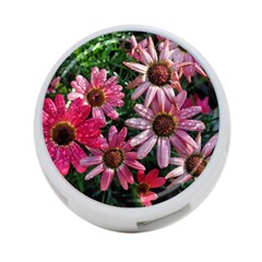 Pink Asters 4-port Usb Hub (two Sides) by okhismakingart