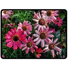 Pink Asters Fleece Blanket (large)  by okhismakingart