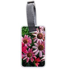 Pink Asters Luggage Tags (one Side)  by okhismakingart