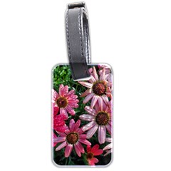 Pink Asters Luggage Tags (two Sides) by okhismakingart