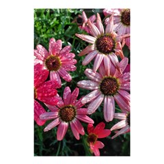 Pink Asters Shower Curtain 48  X 72  (small)  by okhismakingart