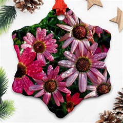 Pink Asters Ornament (snowflake) by okhismakingart