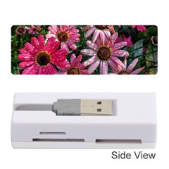 Pink Asters Memory Card Reader (stick) by okhismakingart