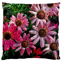 Pink Asters Large Cushion Case (two Sides) by okhismakingart