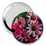 Pink Asters 3  Handbag Mirrors Front