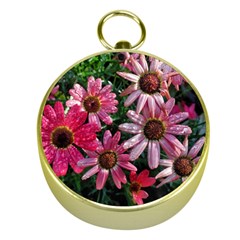 Pink Asters Gold Compasses by okhismakingart