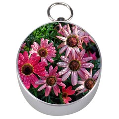 Pink Asters Silver Compasses by okhismakingart