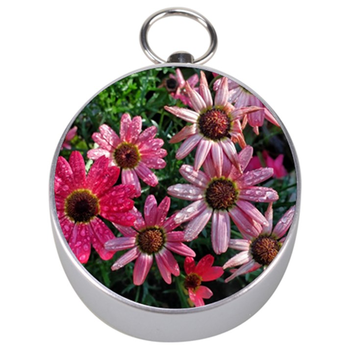 Pink Asters Silver Compasses