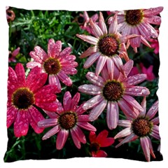 Pink Asters Standard Flano Cushion Case (two Sides) by okhismakingart