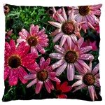 Pink Asters Large Flano Cushion Case (Two Sides) Front