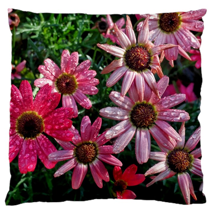 Pink Asters Large Flano Cushion Case (Two Sides)